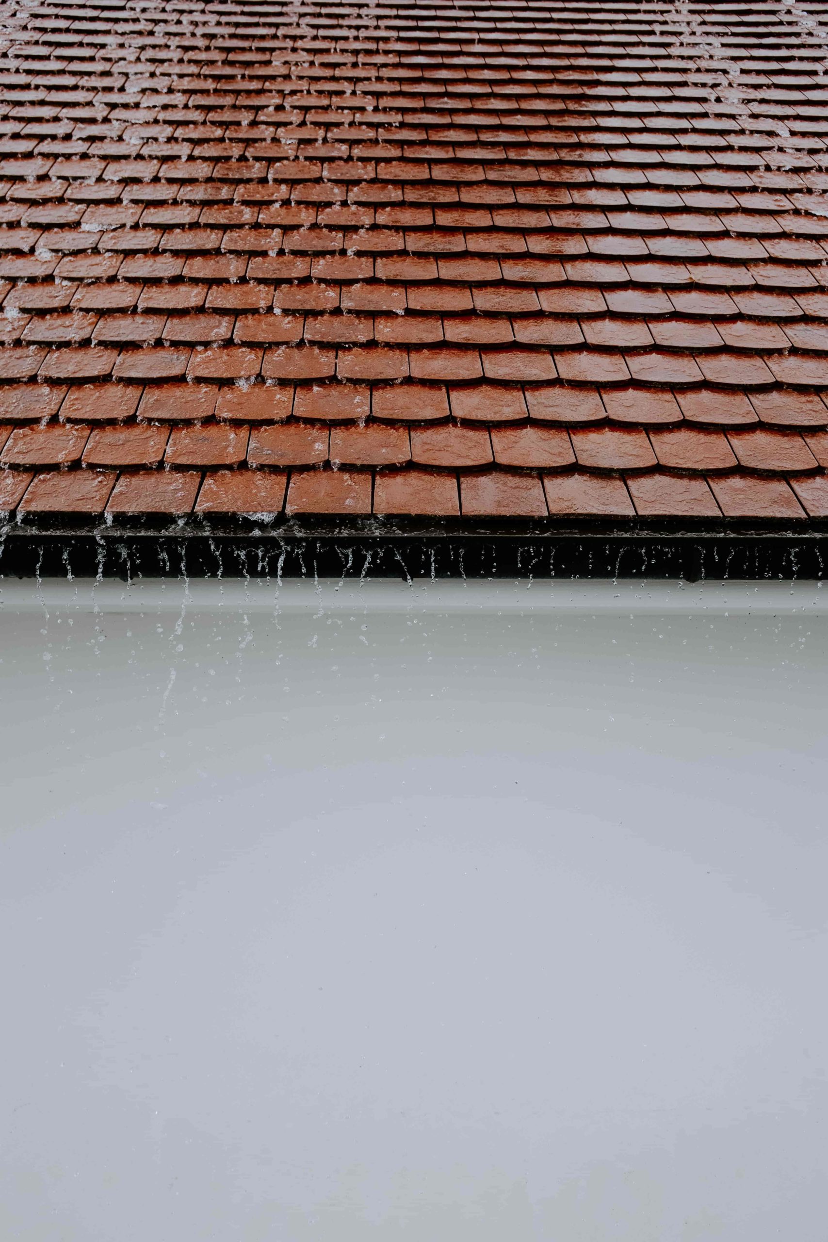 Roof Leaks: Top 3 Common Issues and How to Repair Them